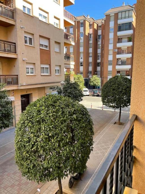 Apartamento Zoco Córdoba Buitenkant foto