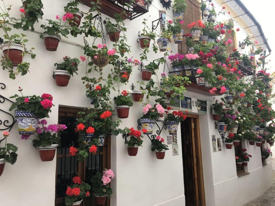 Apartamento Zoco Córdoba Buitenkant foto